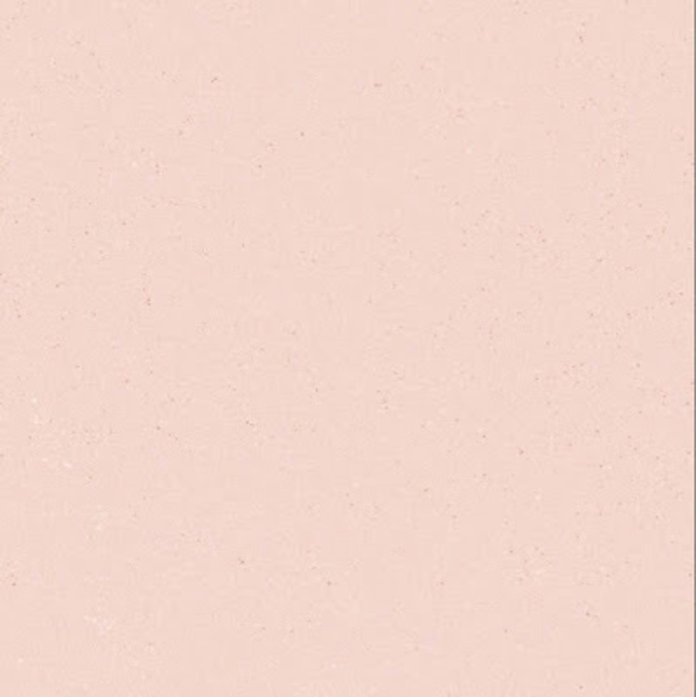 Meet your Posher, Briana